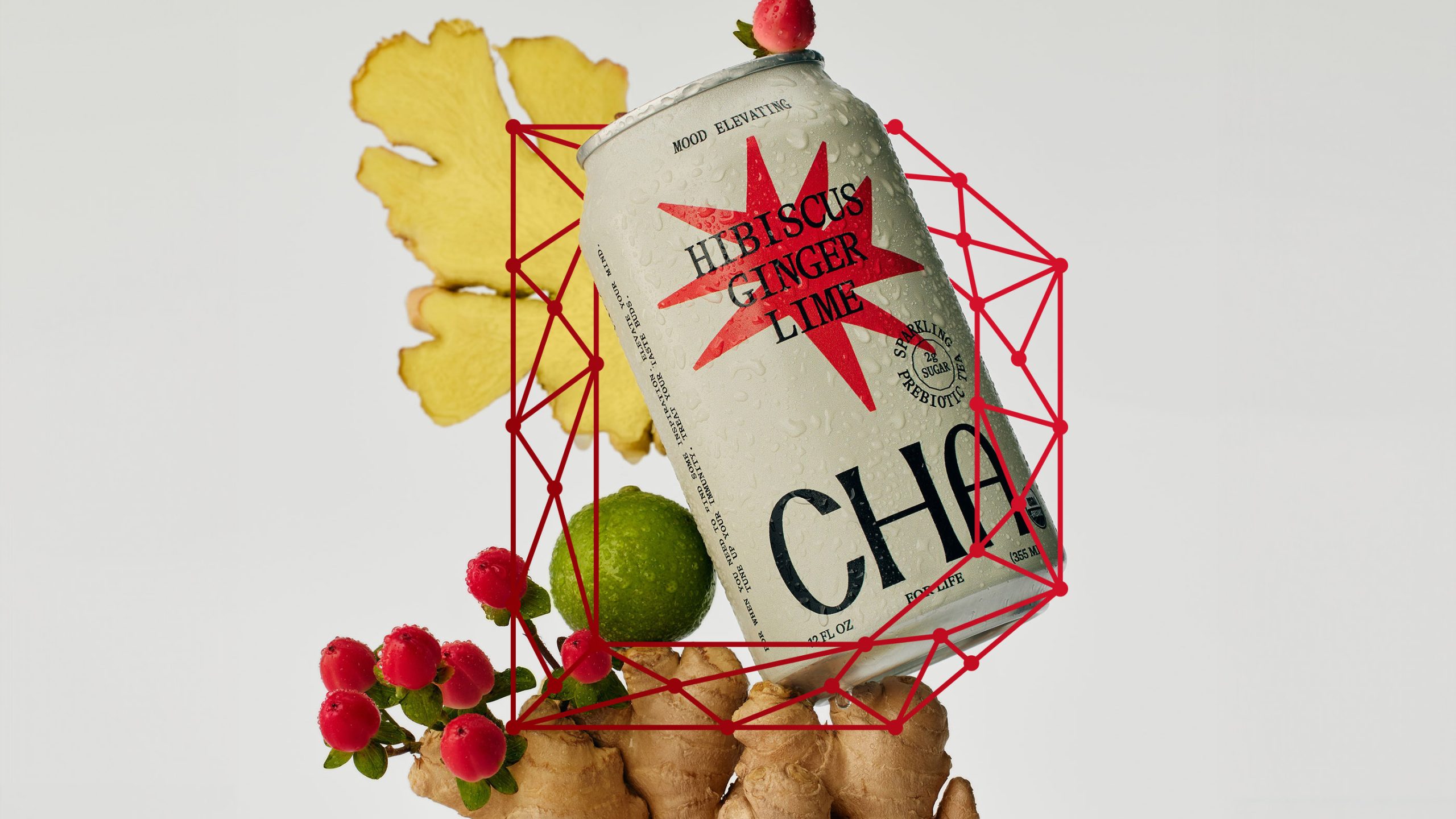 Dieline Awards 2024 Studio of the Year-Winner Wedge Breaks Down Its Big Wins and ‘Special’ Process